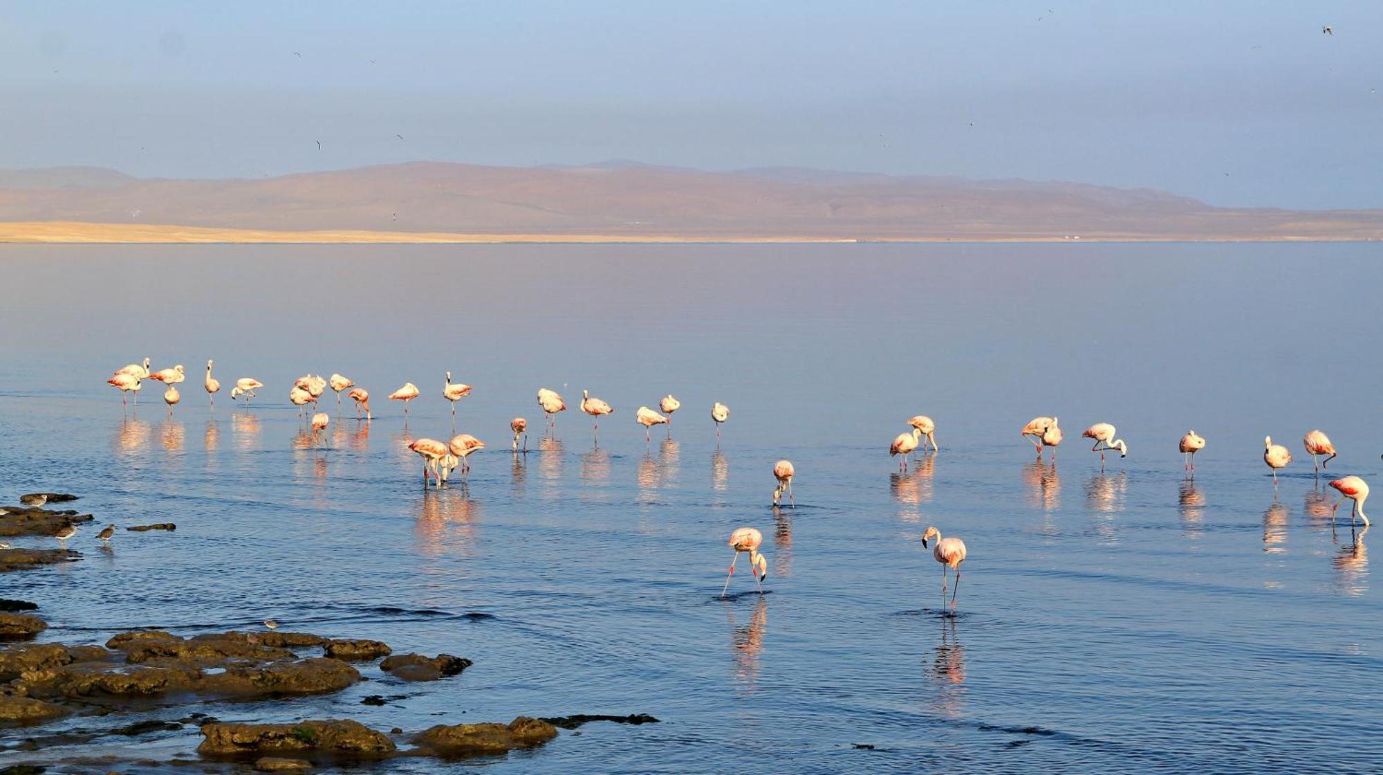 Bamboo Paracas Hotel Exterior photo